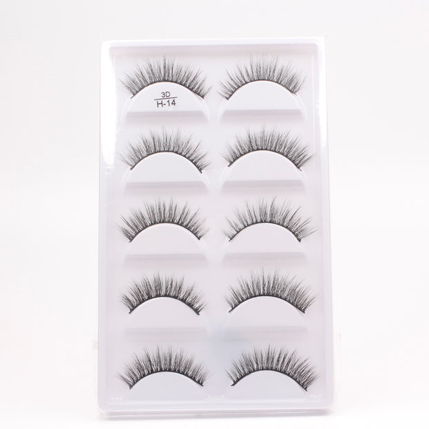 3D False Eyelashes (5 pairs)